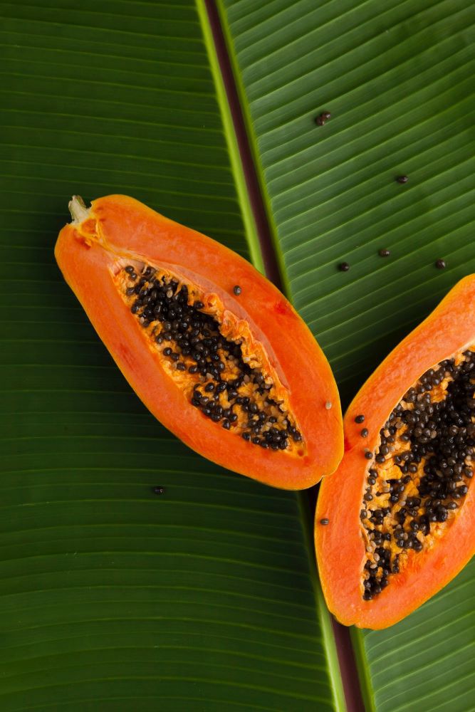 papaya oil 